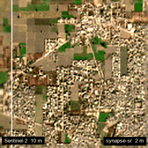 Farm fields in Punjab: Sentinel-2 10 m and synapse-sr 2 m