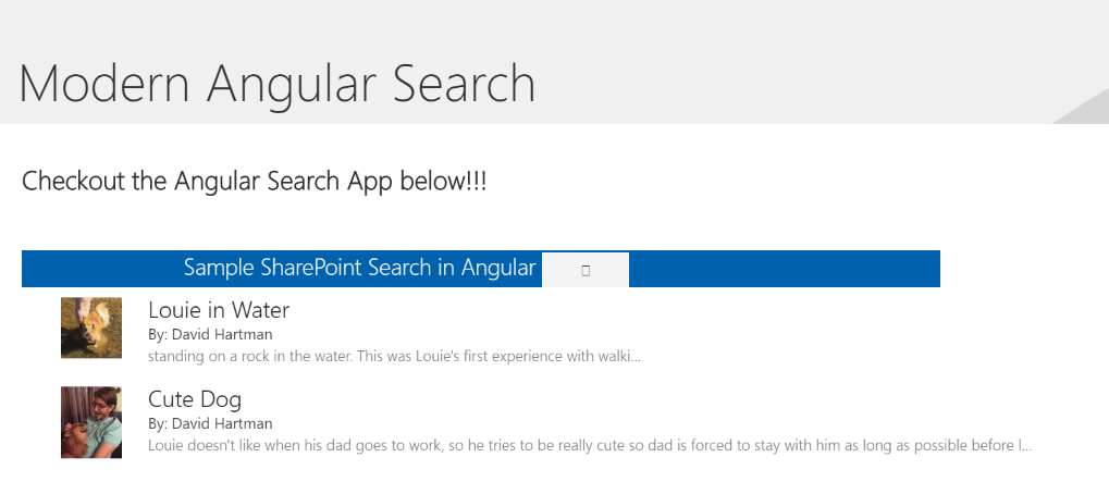 angular-search