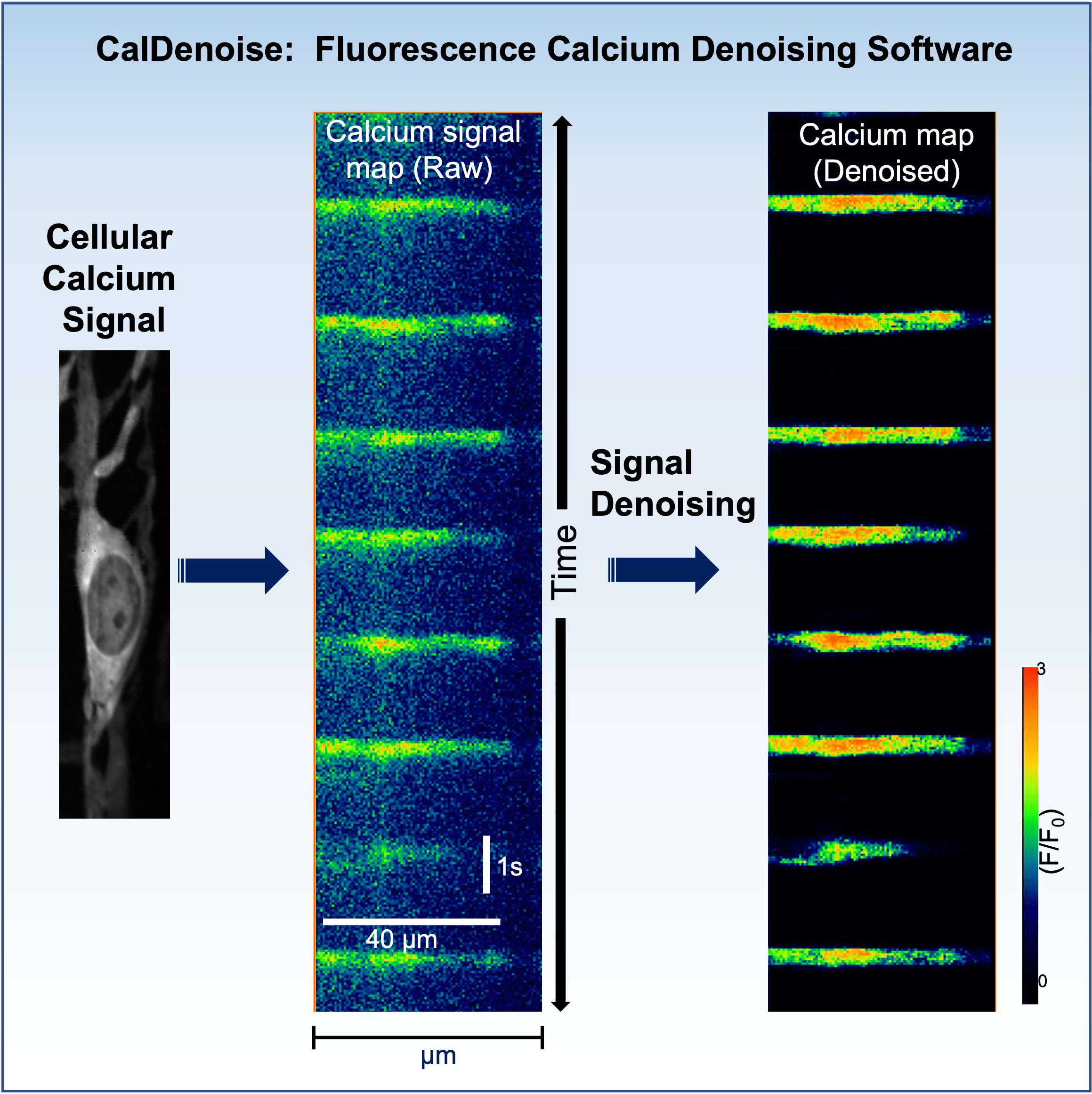 graphical-caldenoise