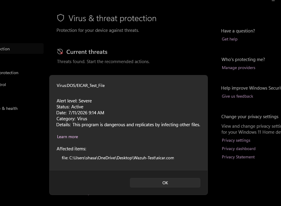 Windows Defender flagged EICAR sample file under Virus category