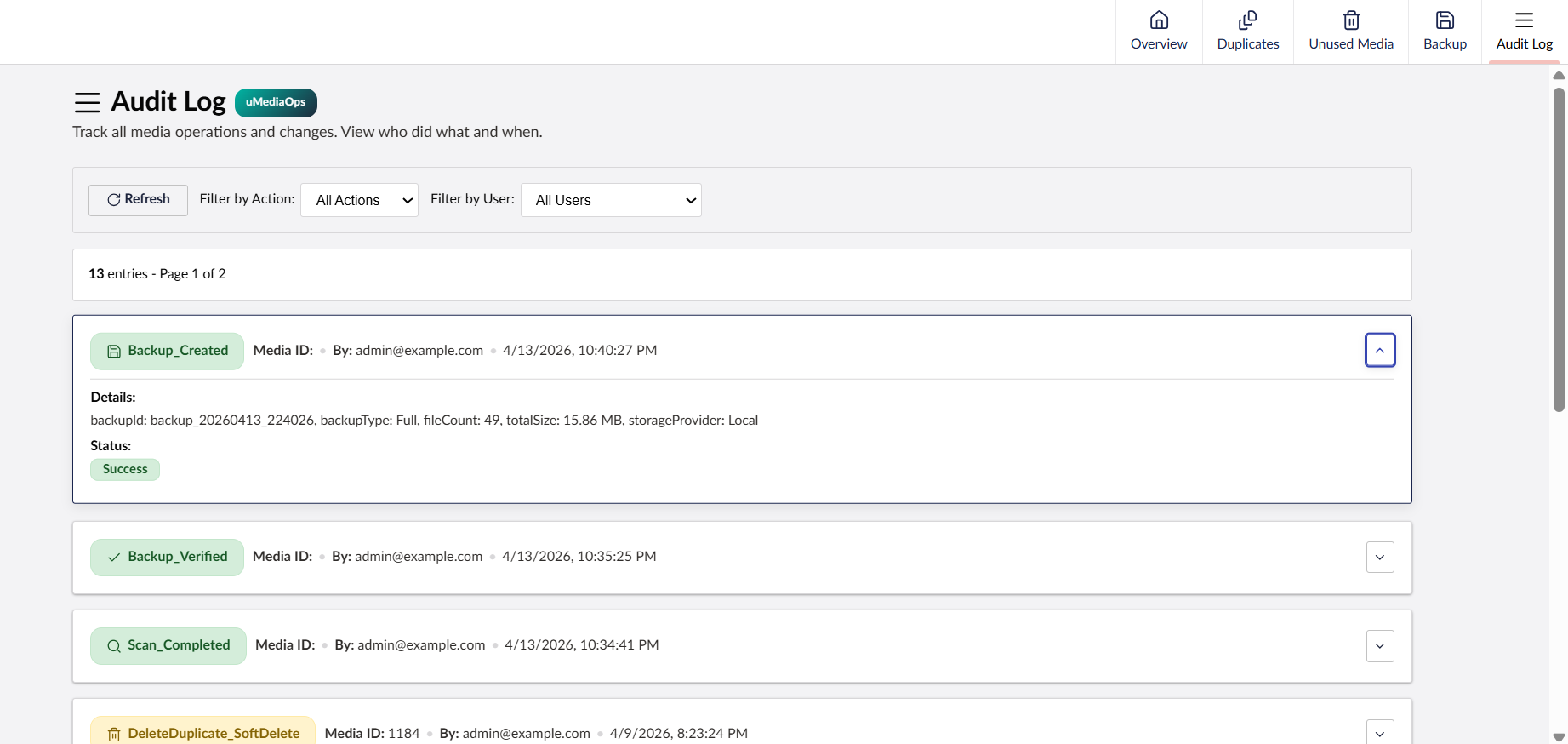 Audit Log