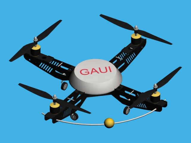 gaui_330x.jpg