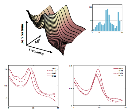 Descriptive parameter surface.png