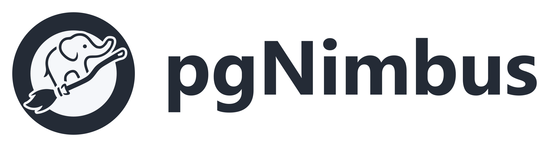 pgNimbus logo: an elephant riding a broom