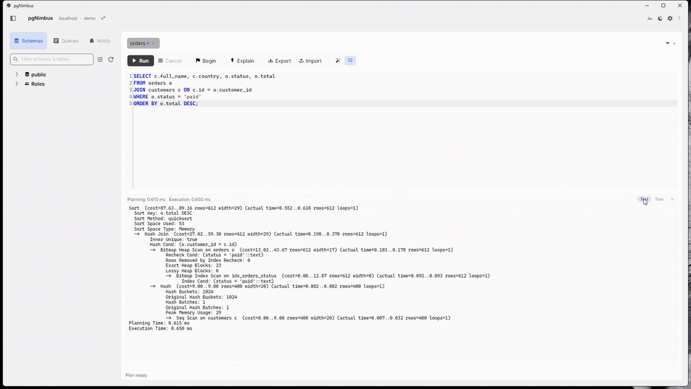 Raw EXPLAIN ANALYZE text next to the graphical plan tree pgNimbus renders from it, with per-node cost and actual timing