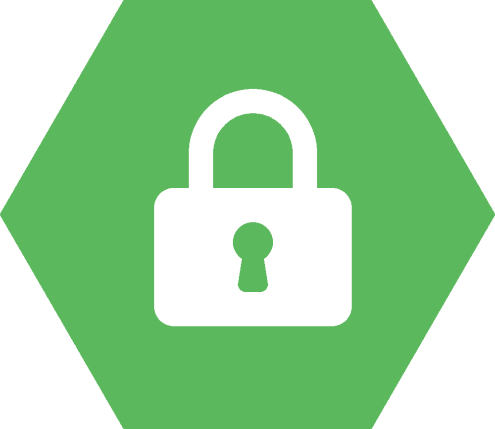 Spring Security Icon