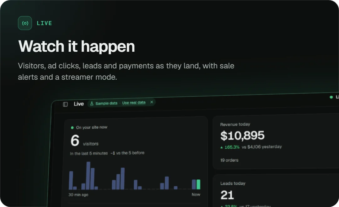 Live: watch it happen. Visitors, ad clicks, leads and payments as they land.