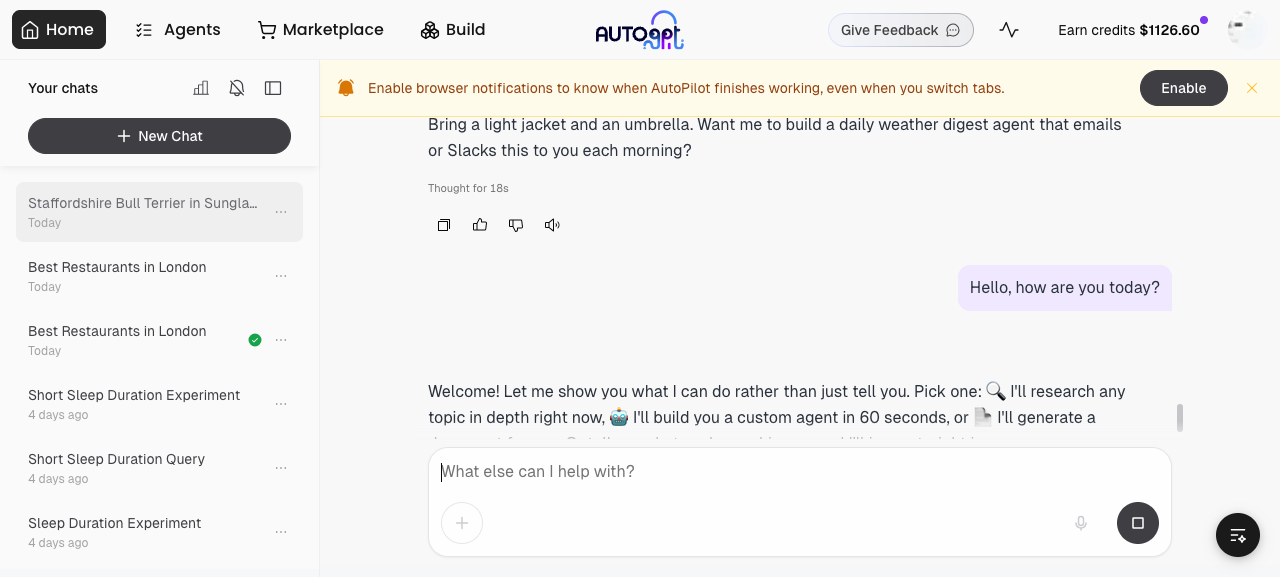 Test 6 — plain Q&A