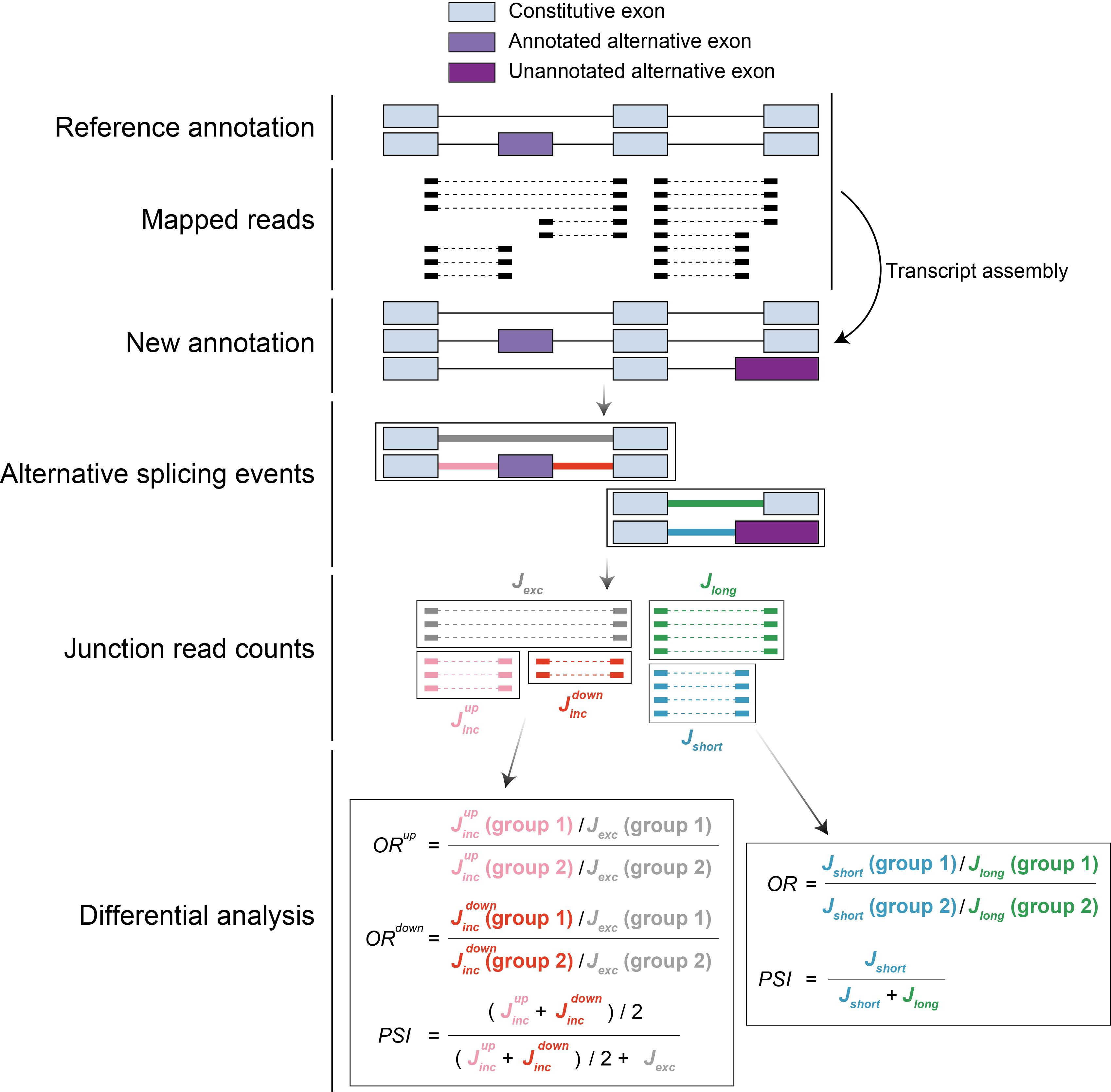 GitHub - Sika-Zheng-Lab/Shiba: A versatile method for systematic