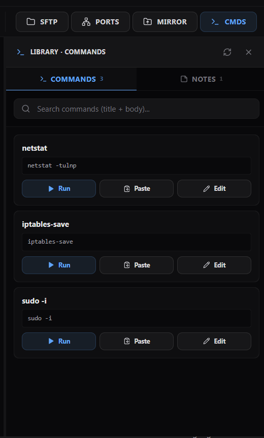 Per-server command library with Run / Paste / Edit on each snippet, plus a Notes tab