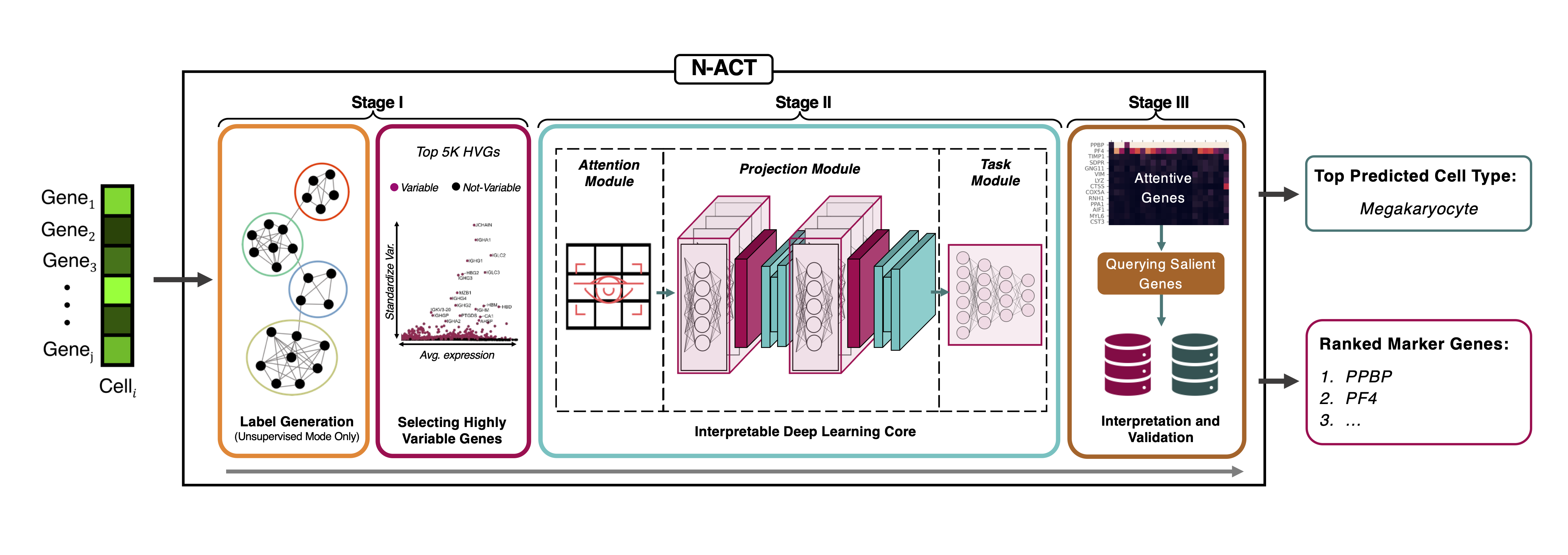 N-ACT_Diagram