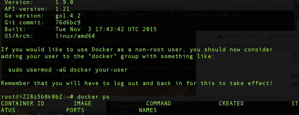 aliyun docker verify