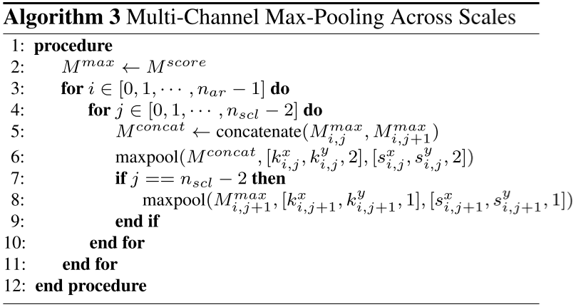 Multi-Channel Max-Pooling Across Scales