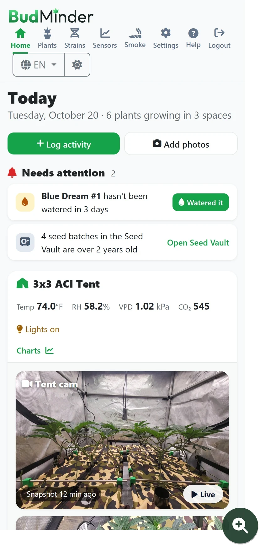 The Today page on a phone