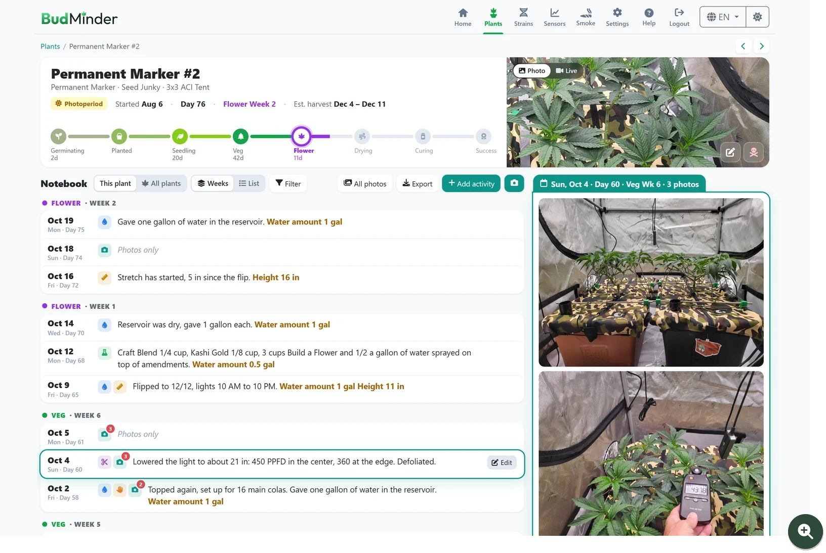 A plant's page in BudMinder: the stage track from germination to harvest, a notebook with one entry per day, and the three photos taken on the selected day
