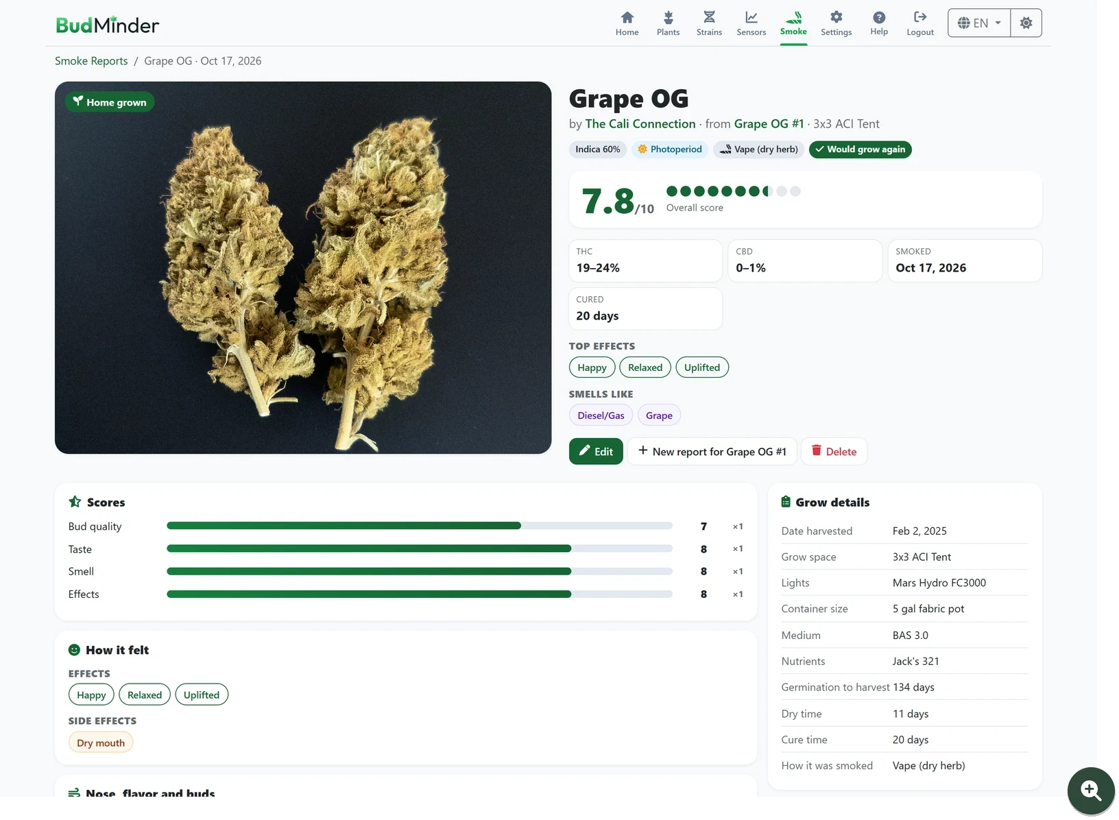 A smoke report for home-grown Grape OG: a photo of two dried buds, an overall score of 7.8 out of 10, THC, CBD and cure time, top effects and smells, bars for the bud quality, taste, smell and effects scores, and the grow details BudMinder filled in from the plant