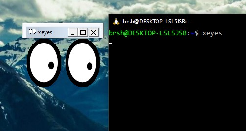 WSL xeyes