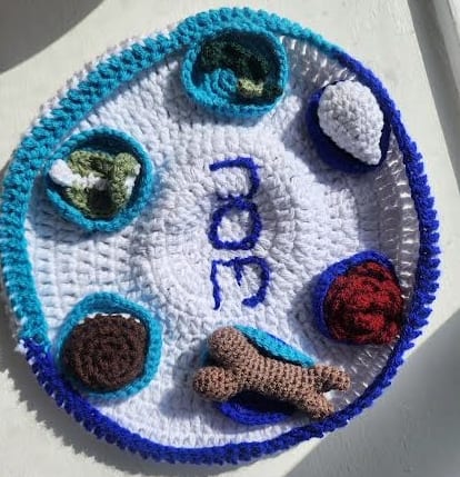 Fun for Pesach,  Seder Plate Crochet for all ages. Just stunning on the table