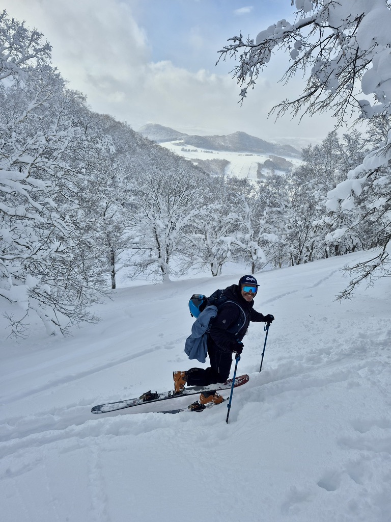 Powder skiing Niseko