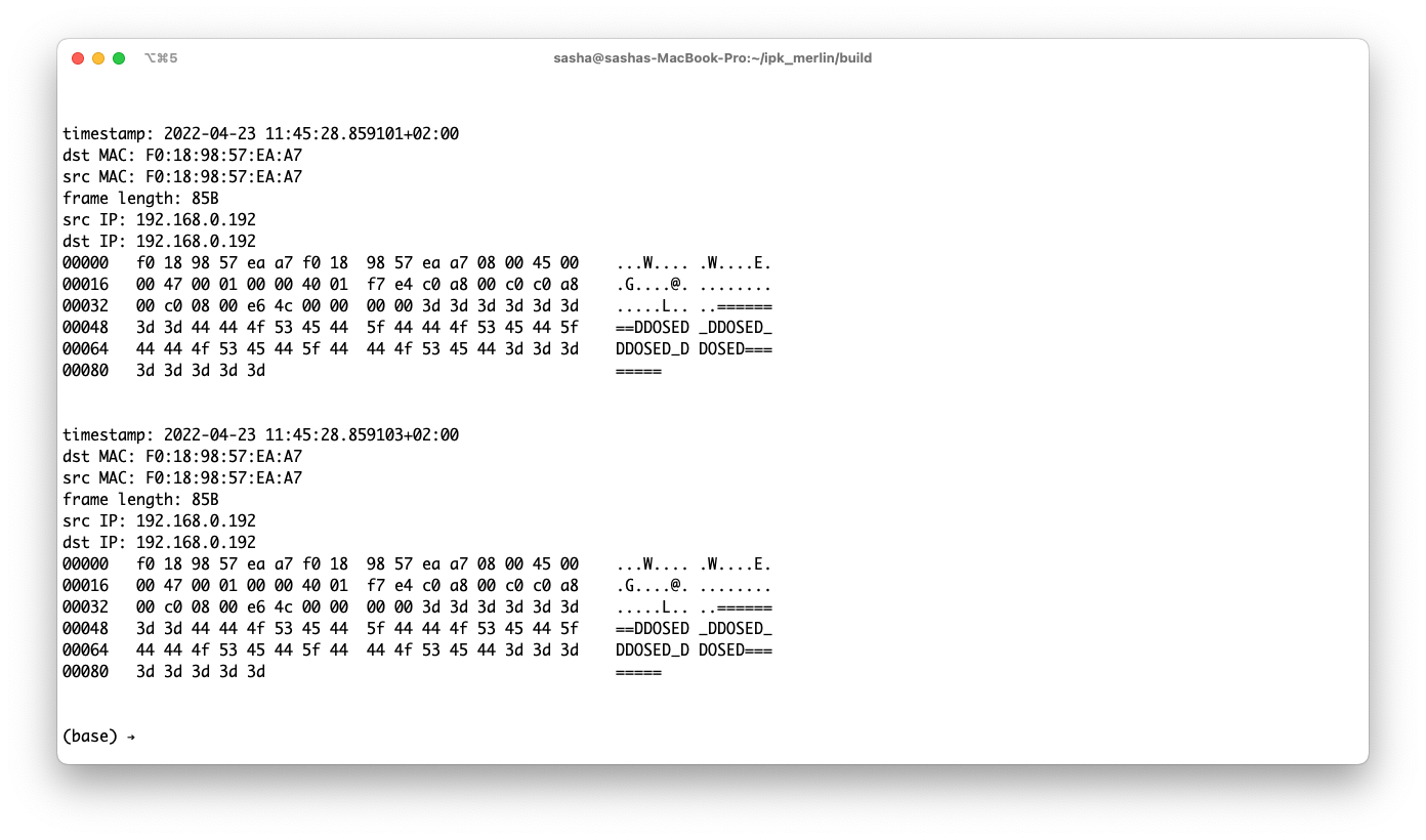 Captured packets