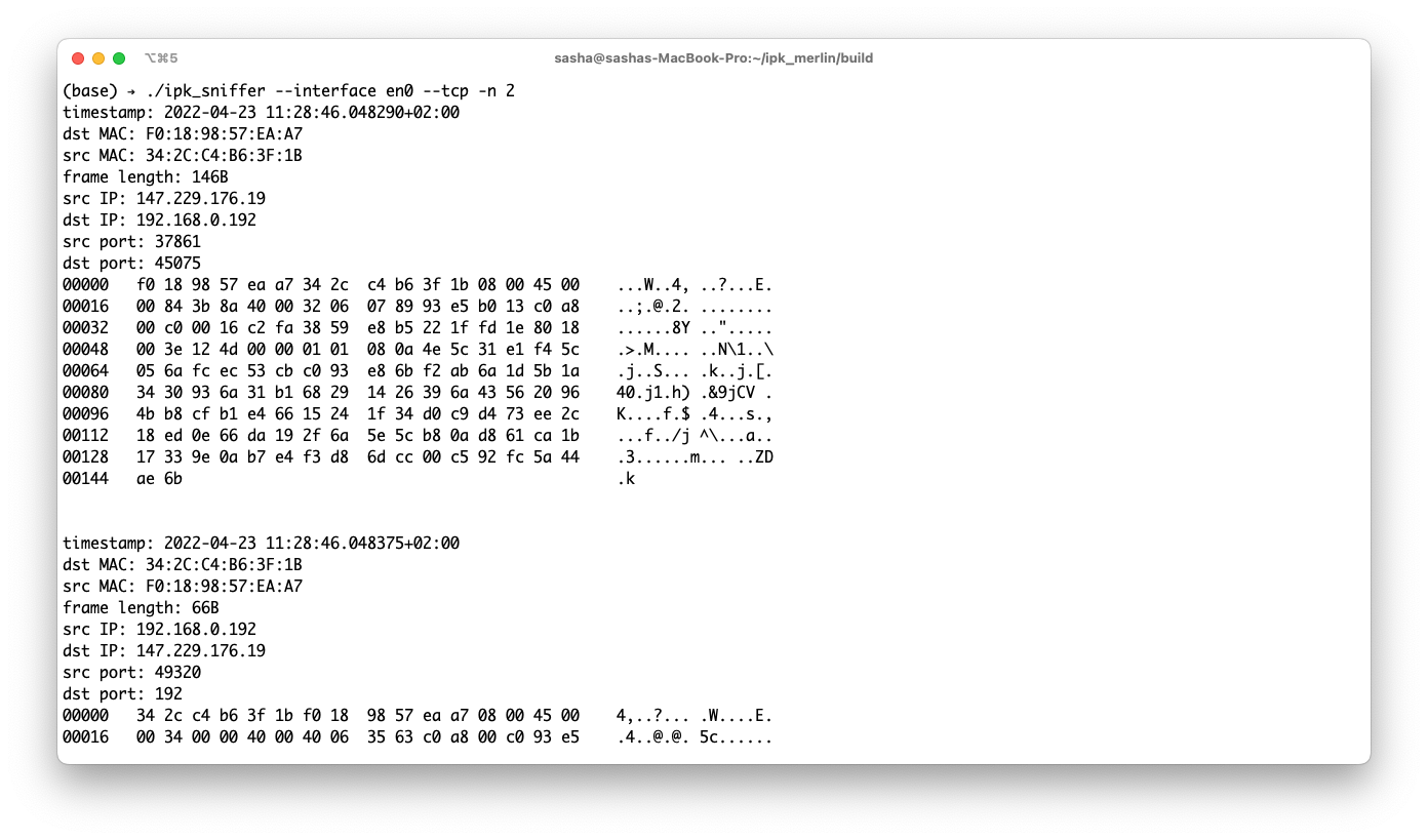 Terminal output