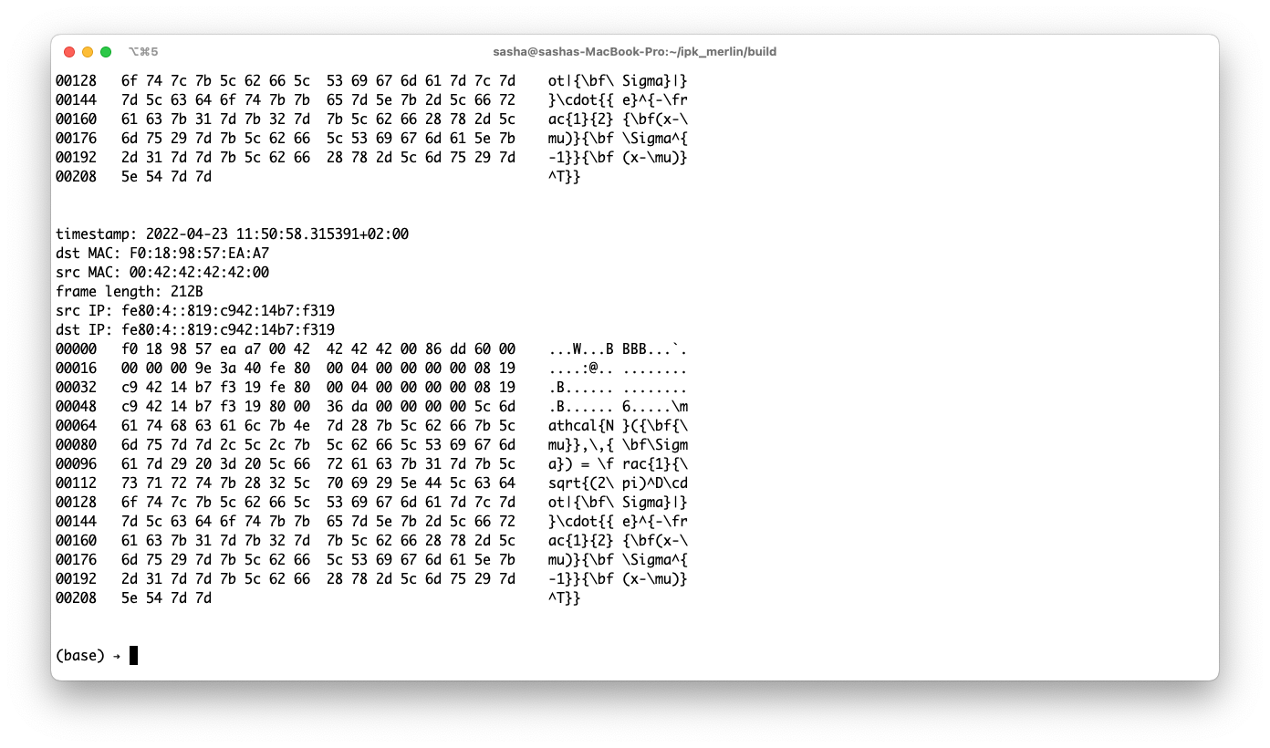 Captured packets