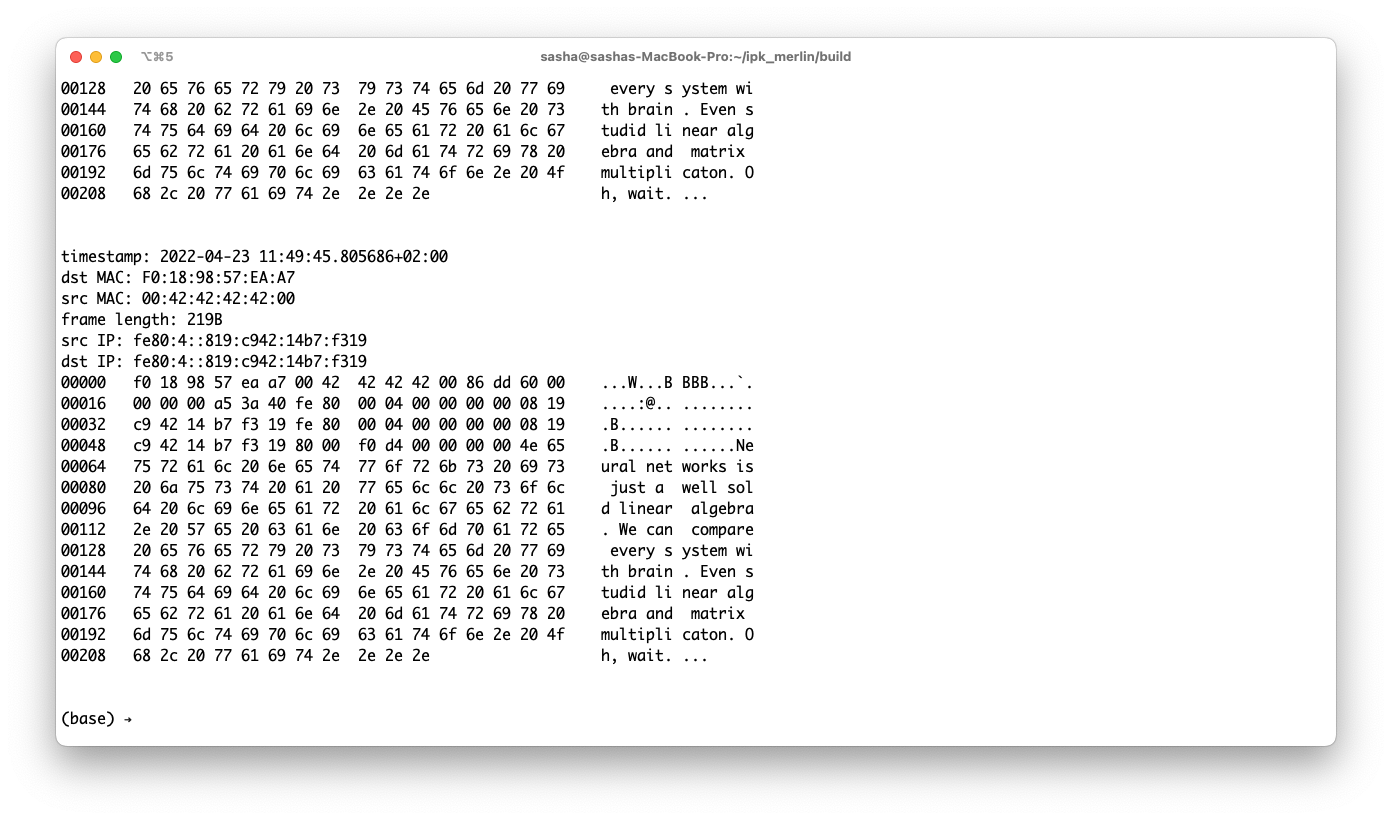 Captured packets