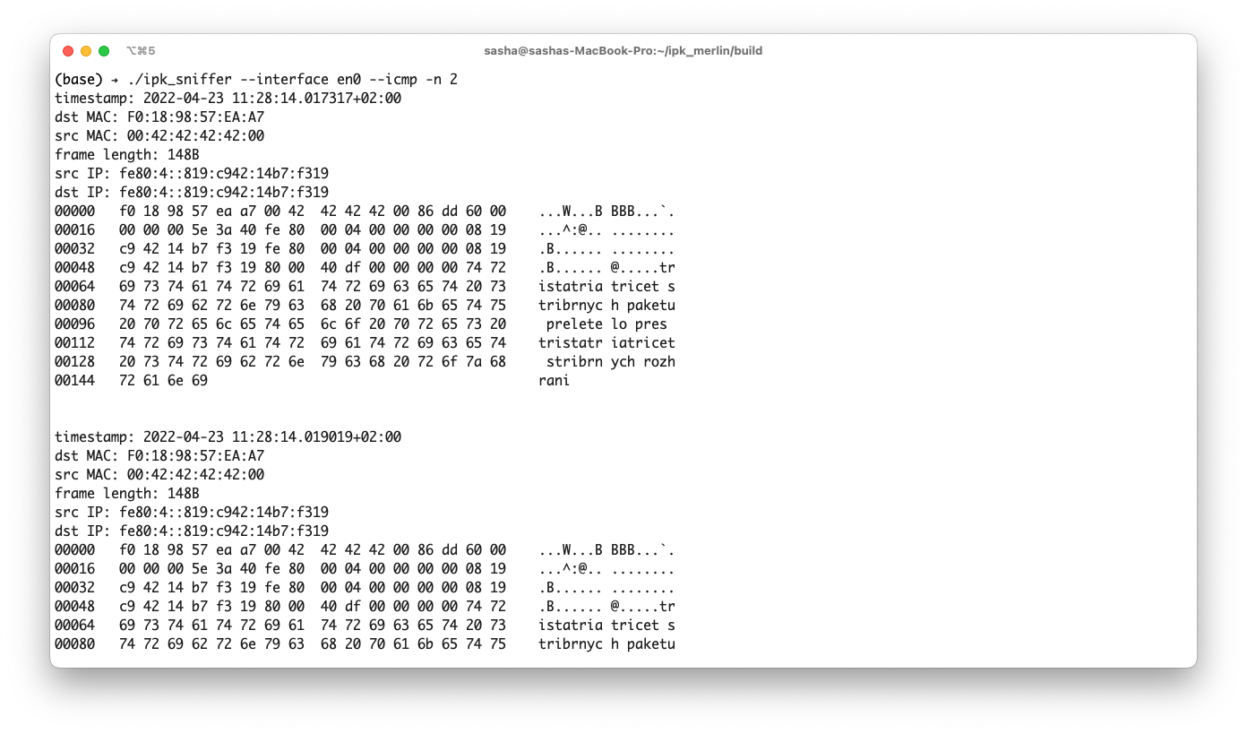 Terminal output