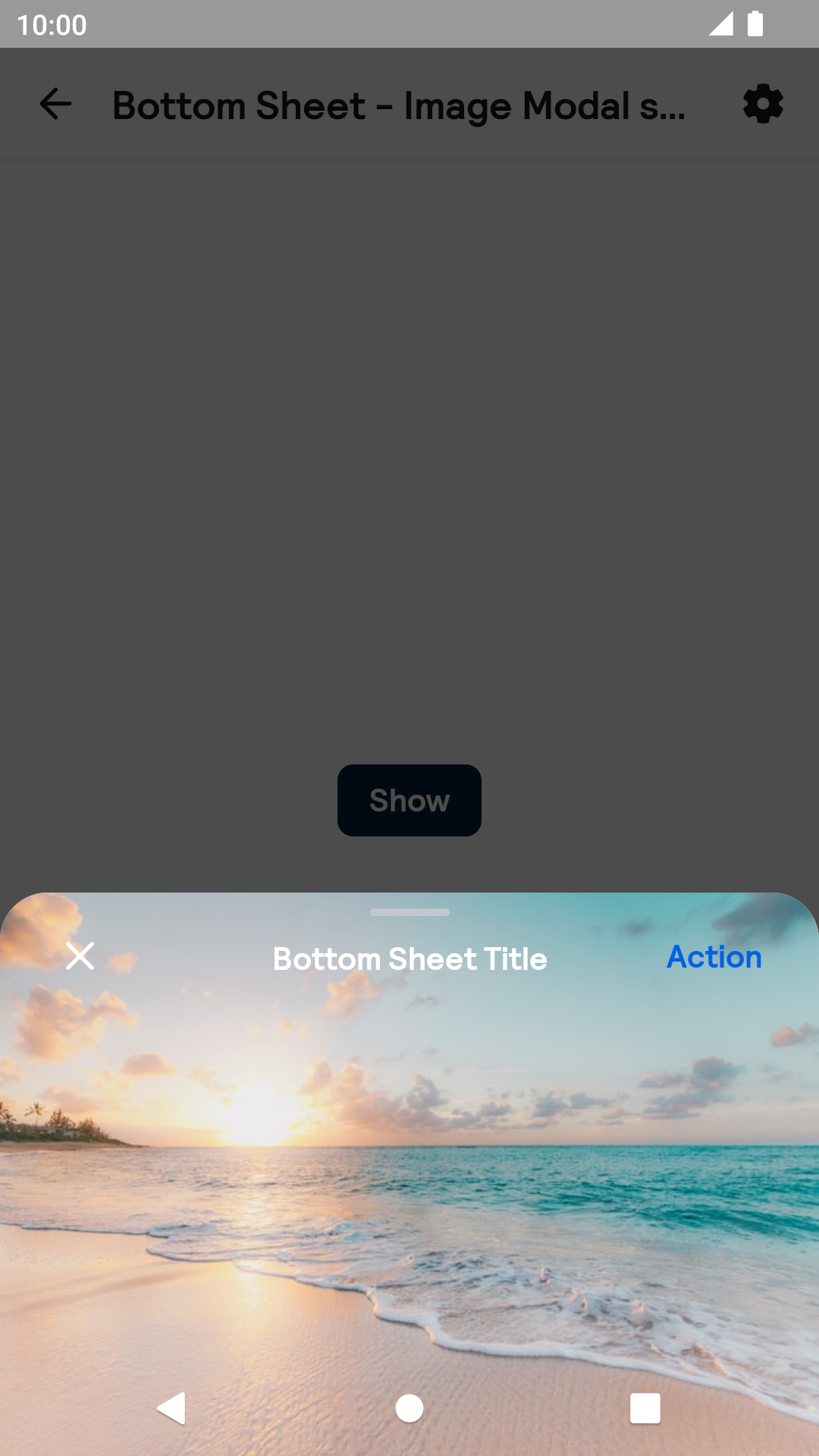 Modal with TopBar BottomSheet over image component