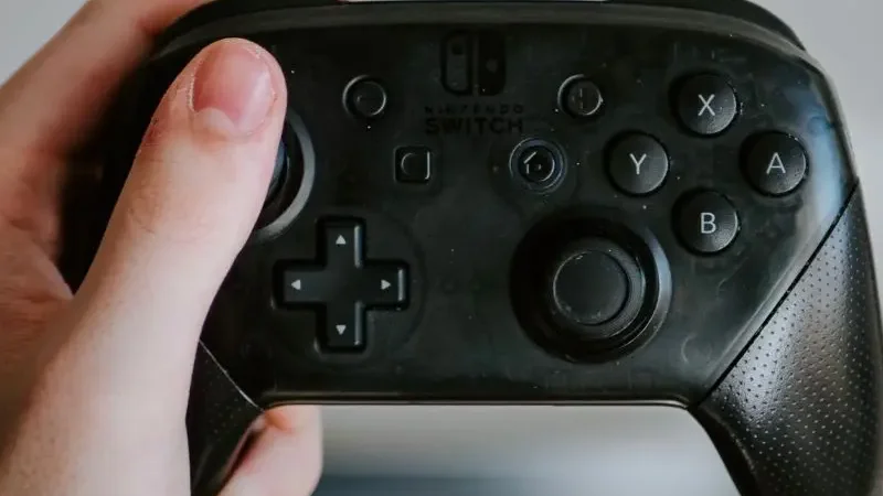 Switch pro controller