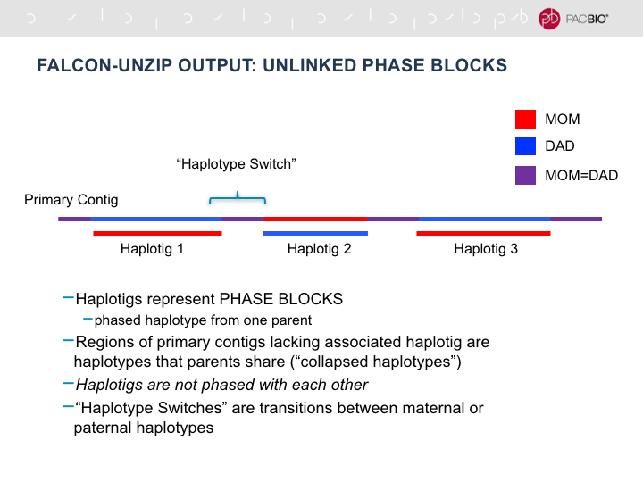 Phase switch