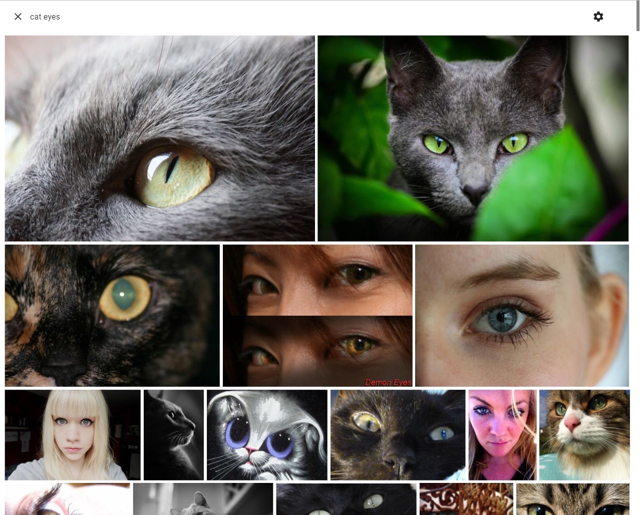 semantic search for "cat eyes"