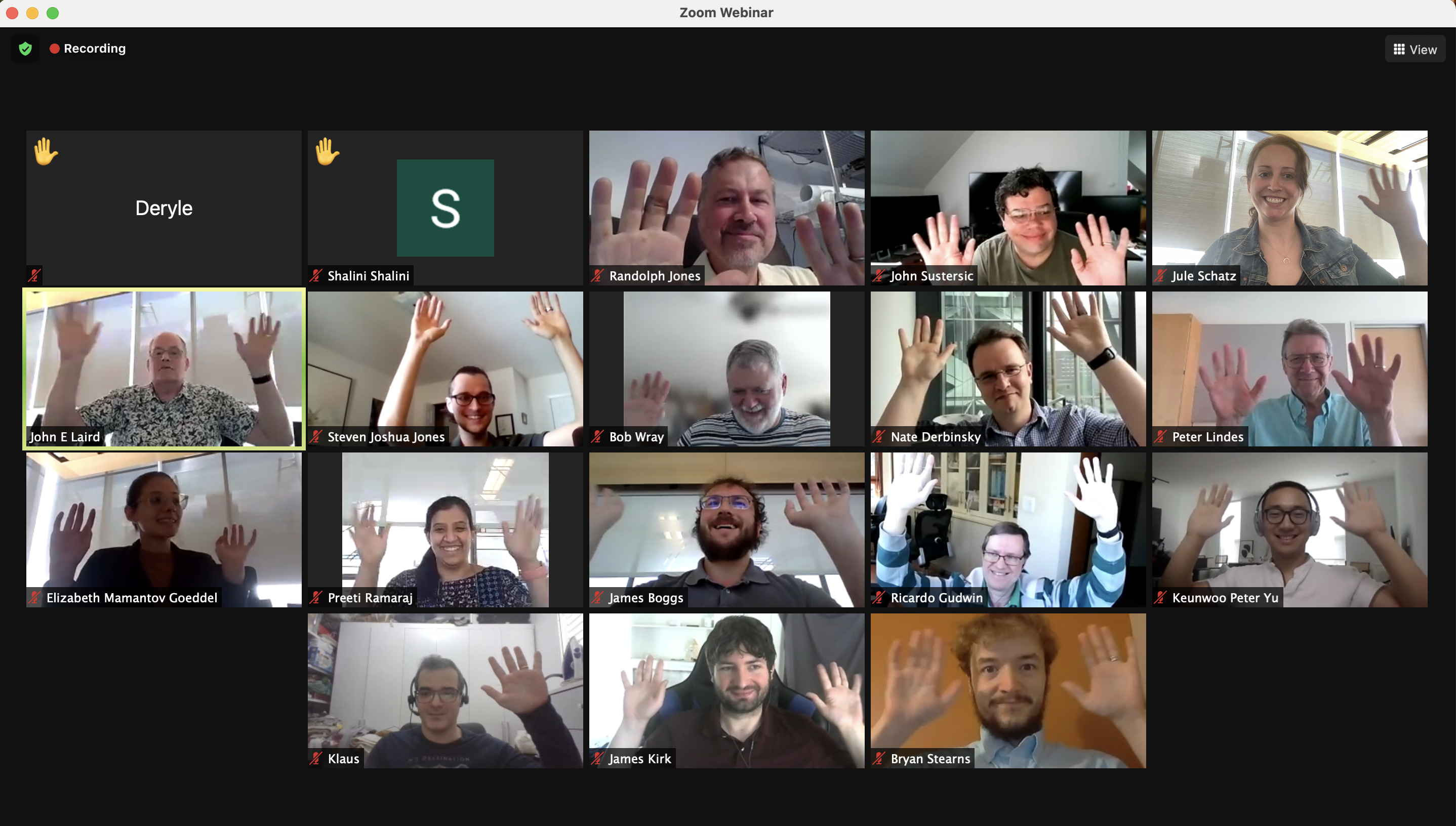 Participant group photo (Zoom screenshot) with arms raised (making waves), 2021