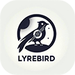 Lyrebird1(1)