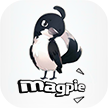 Magpie1(1)