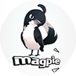 Magpie1
