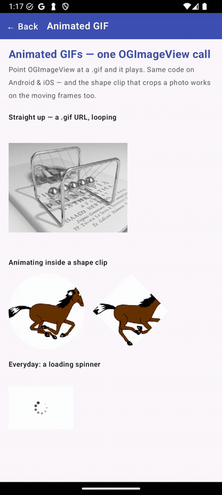 Animated GIFs playing on Android — a looping Newton's cradle, a galloping horse clipped into a circle and a diamond, and a loading spinner, all from .gif URLs through one OGImageView