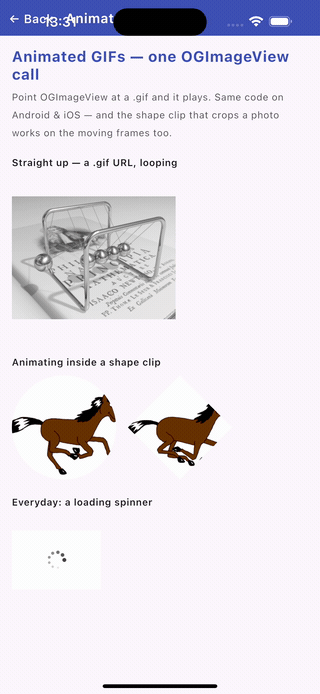 The same animated-GIF screen on an iOS simulator — identical Compose Multiplatform code, the horse animating inside the circle and diamond clips