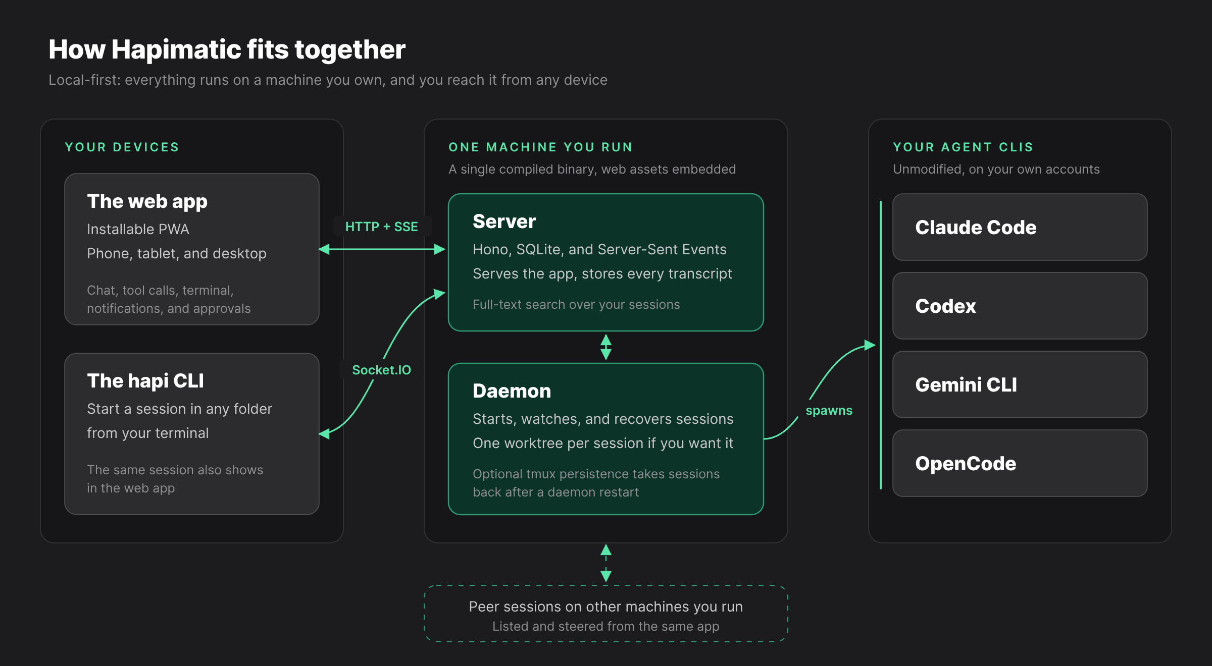 Architecture: the web app and the hapi CLI reach one machine you run, where a single binary holds the server and the daemon, and the daemon starts Claude Code, Codex, Gemini CLI, and OpenCode sessions