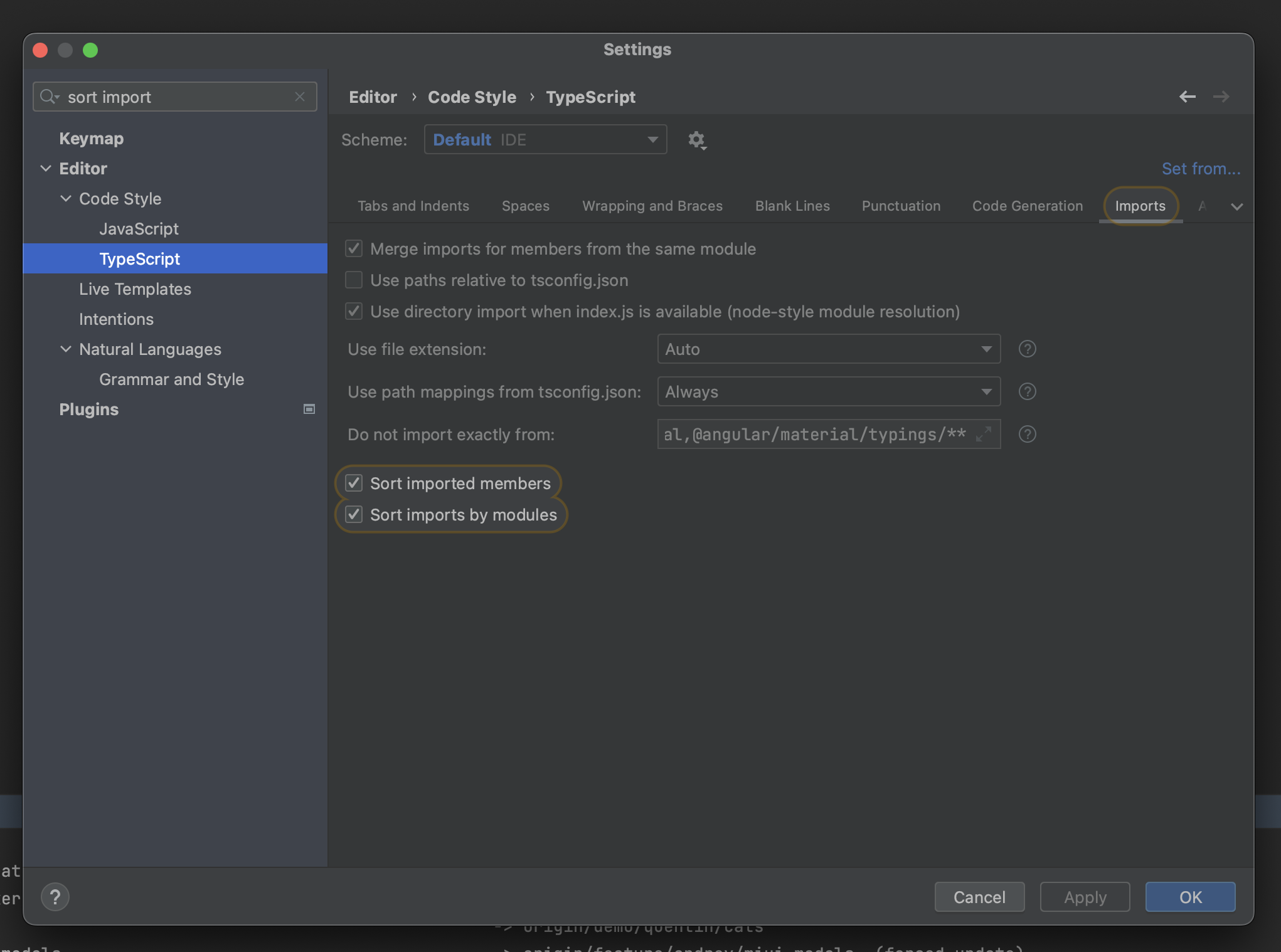 Intellij typescript