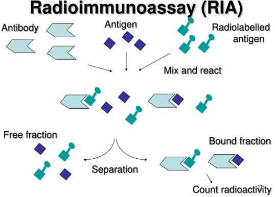 radioimmunoassay