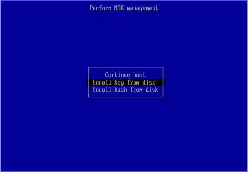 Choose: Enroll key from disk