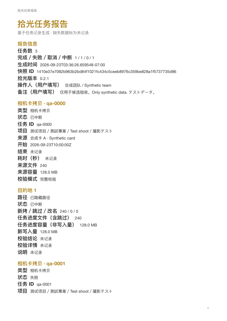 v0.2.1 PDF 任务报告示例,全部为合成数据