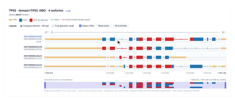 isoform stack viewer