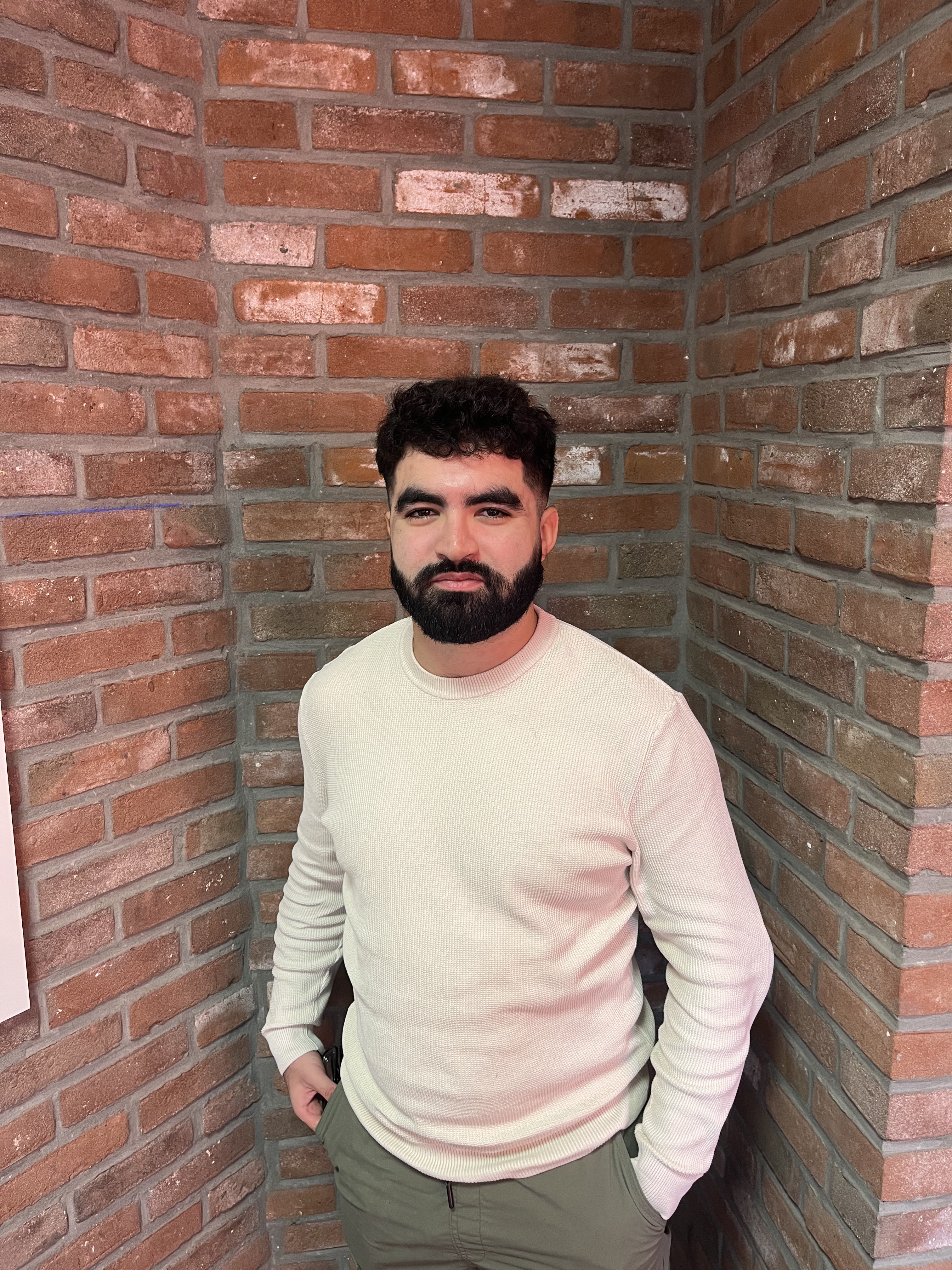 cv picture