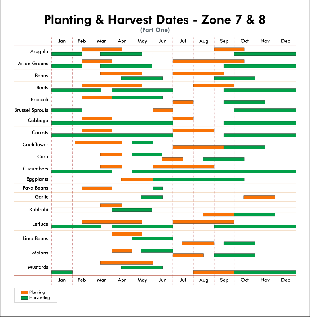 A chart showing the planting & harvesting date ranges for plants in zones 7 & 8