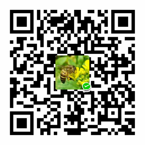 WeChat Pay