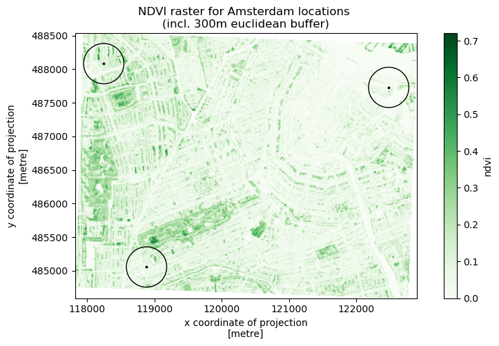 NDVI raster