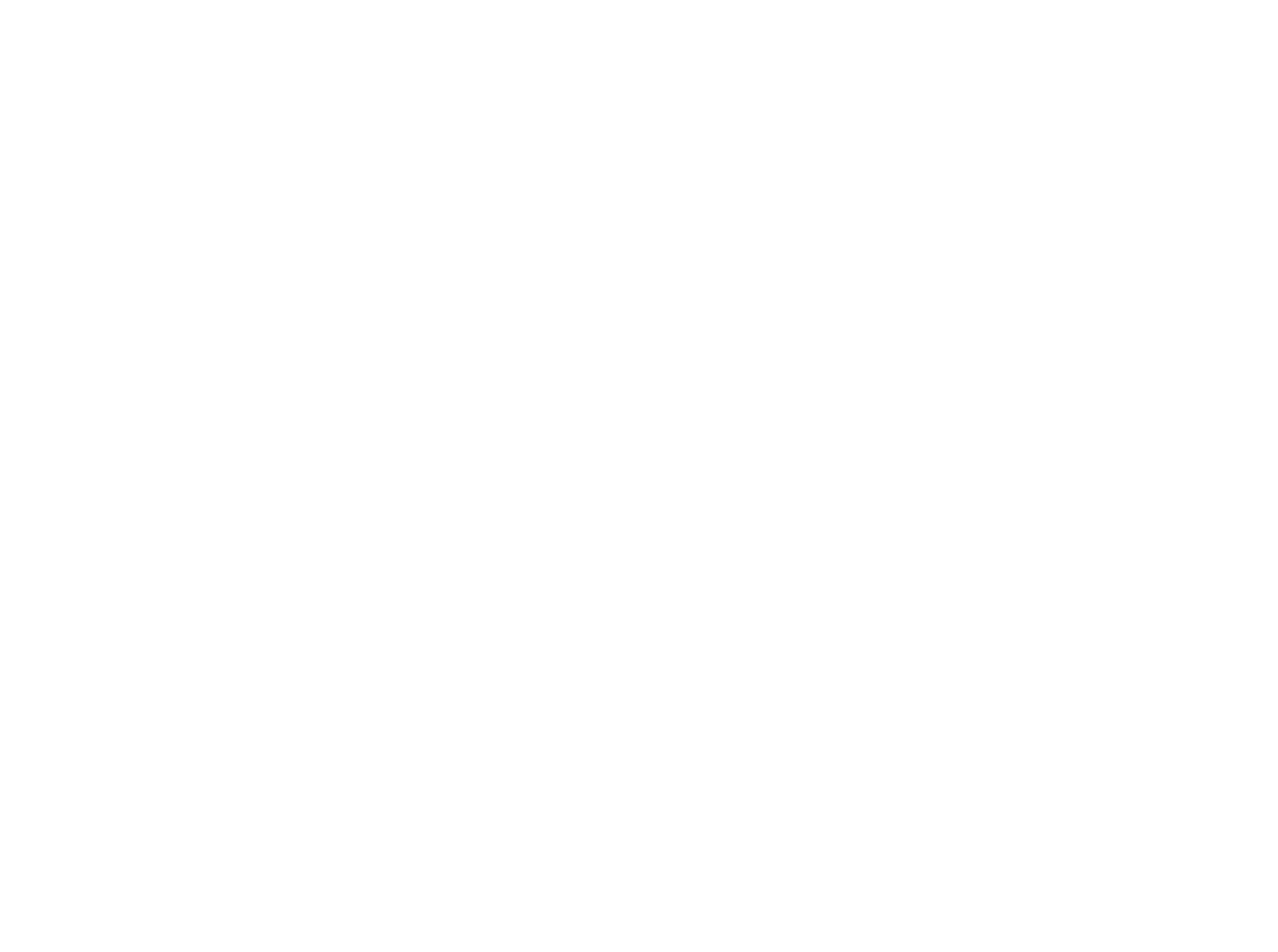 Veloce IT Logo